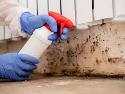 Best Mold Prevention Services  in Elida, OH